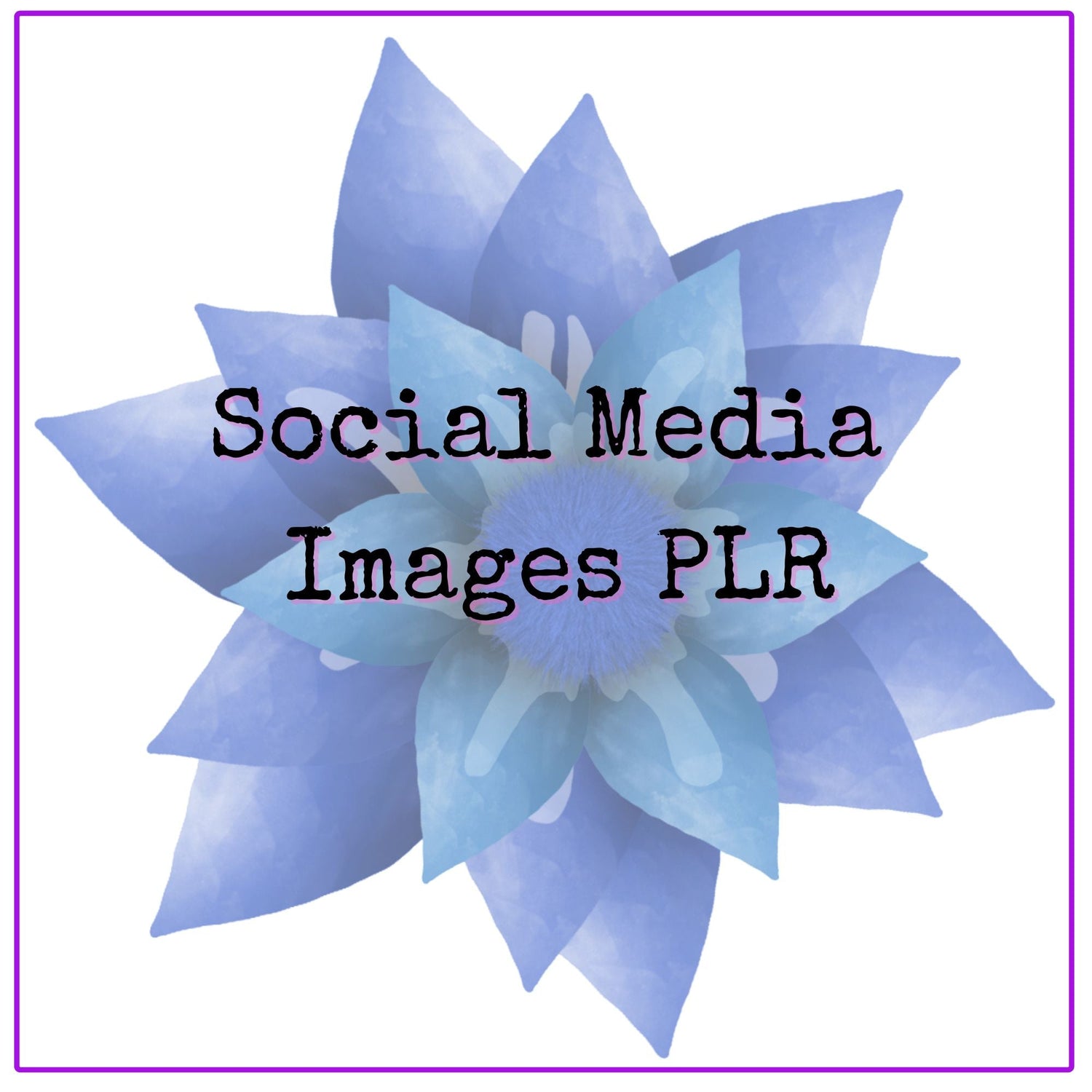 Social Media Images PLR